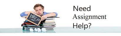 Need assignment help