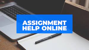 Need Assignment Help